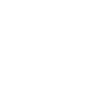 VAT Consultant
